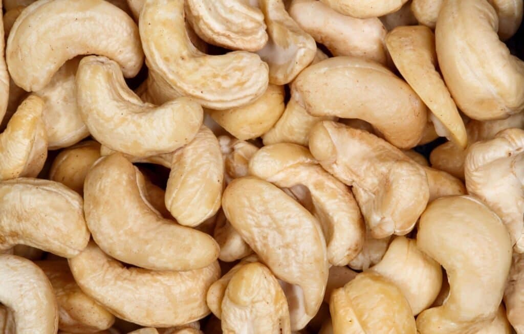 Cashew