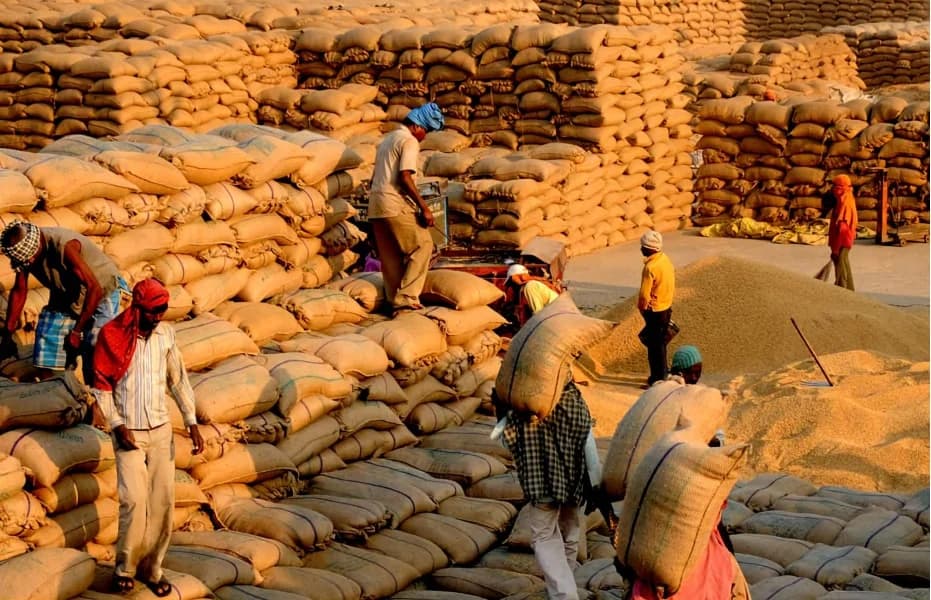 Commodity Trading