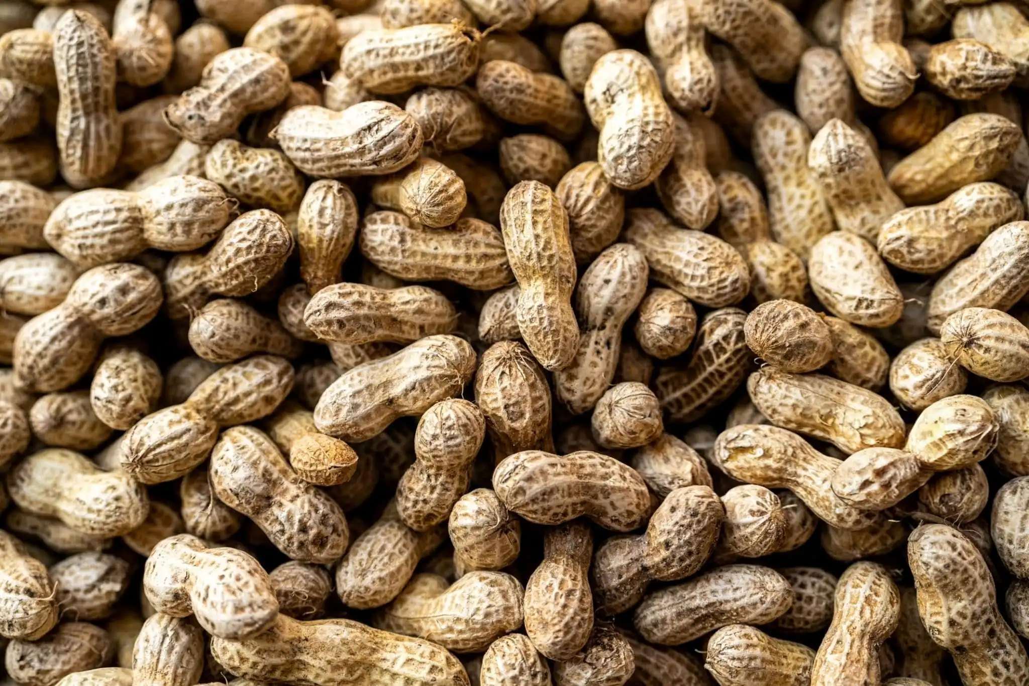 Peanuts